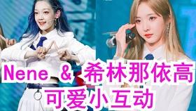 不请自来的客人